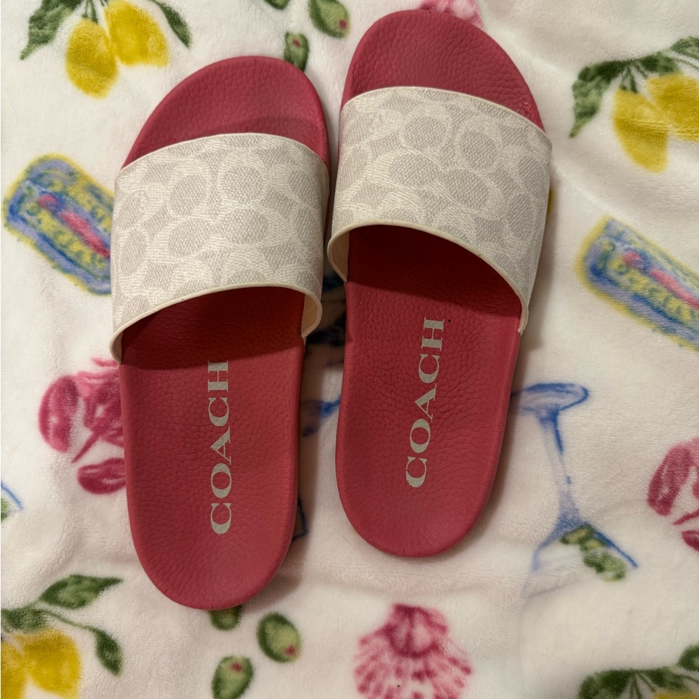 coach slides
